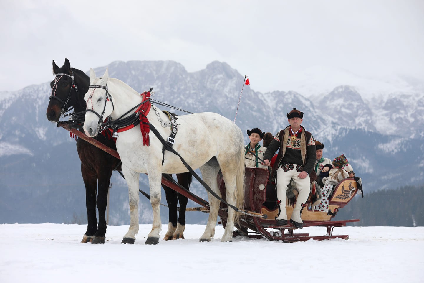 Tatra Mountain Sleigh Ride in Zakopane from Kraków