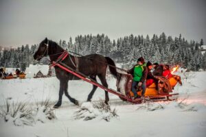 Read more about the article Zakopane in Winter: Your 2026 Travel Guide